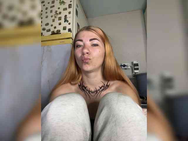 Chanterelle-Fox webcam