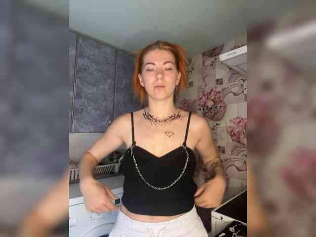 Chanterelle-Fox webcam