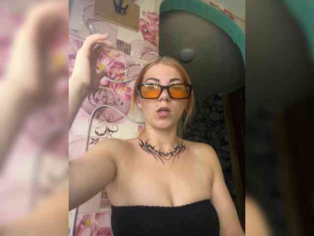 Chanterelle-Fox webcam