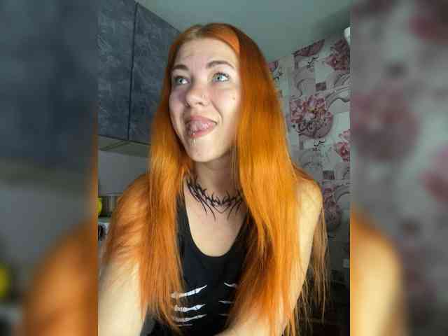 Chanterelle-Fox webcam