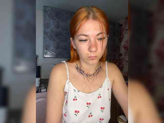 Chanterelle-Fox webcam