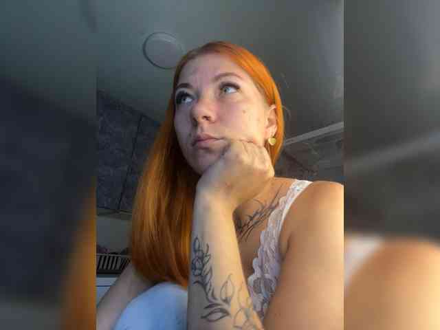 Chanterelle-Fox webcam