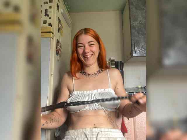 Chanterelle-Fox webcam