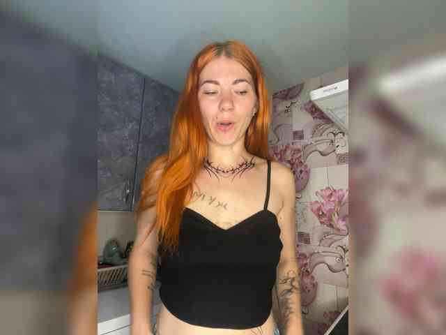 Chanterelle-Fox webcam