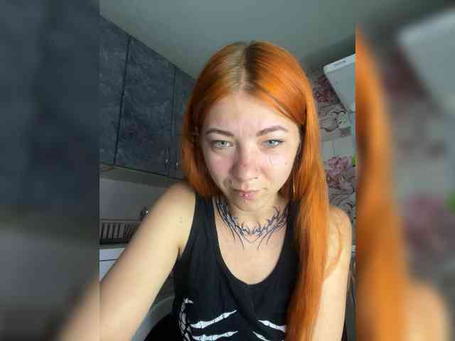 Chanterelle-Fox webcam