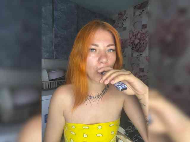 Chanterelle-Fox webcam