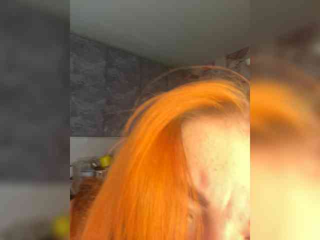 Chanterelle-Fox webcam