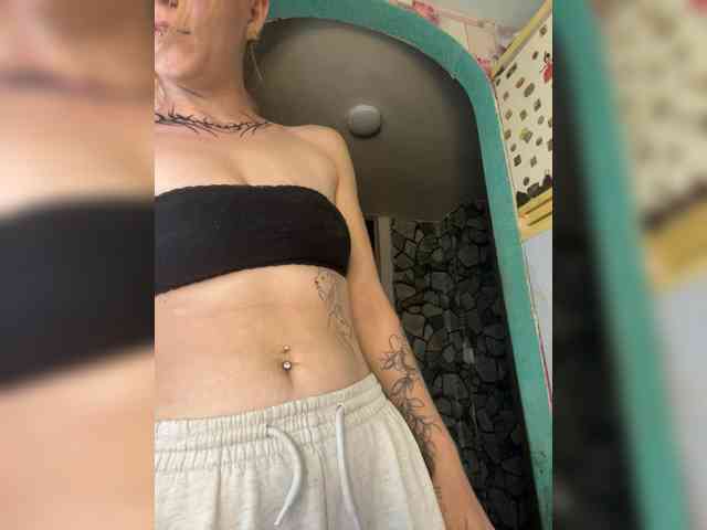 Chanterelle-Fox webcam