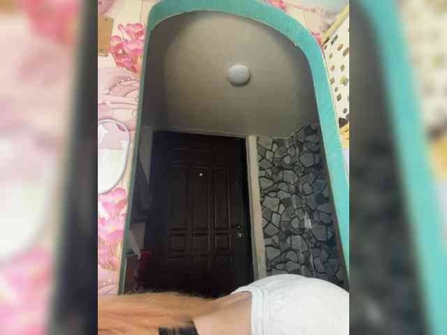 Chanterelle-Fox webcam