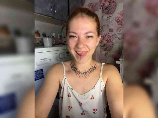 Chanterelle-Fox webcam