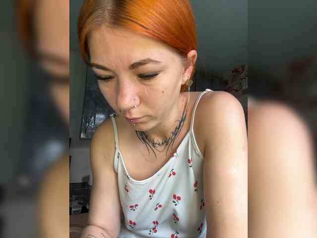 Chanterelle-Fox webcam