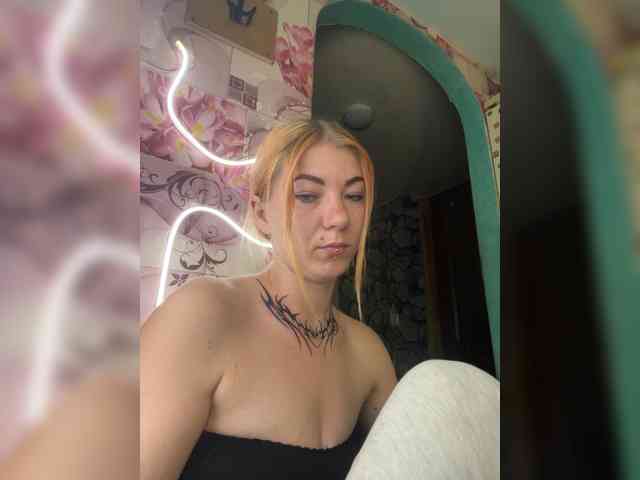 Chanterelle-Fox webcam