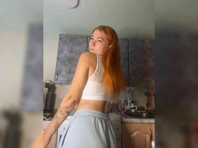 Chanterelle-Fox webcam