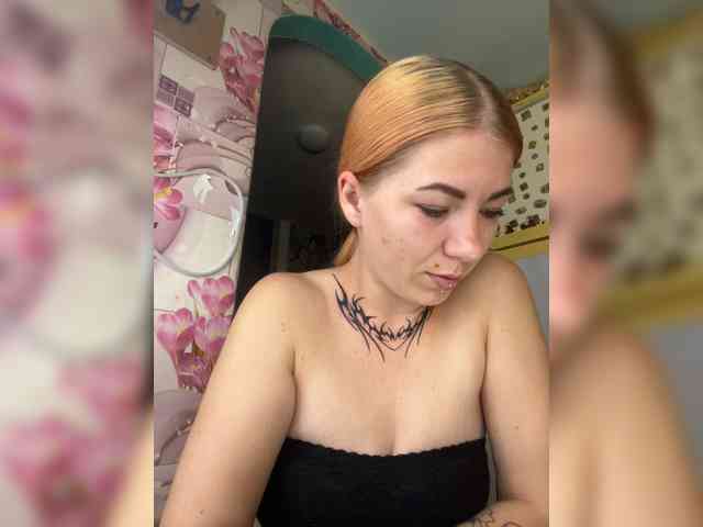 Chanterelle-Fox webcam