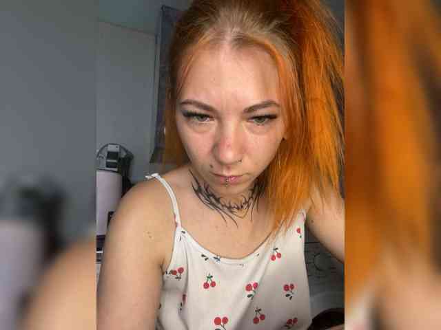 Chanterelle-Fox webcam