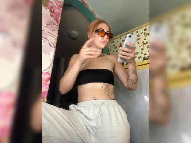 Chanterelle-Fox webcam