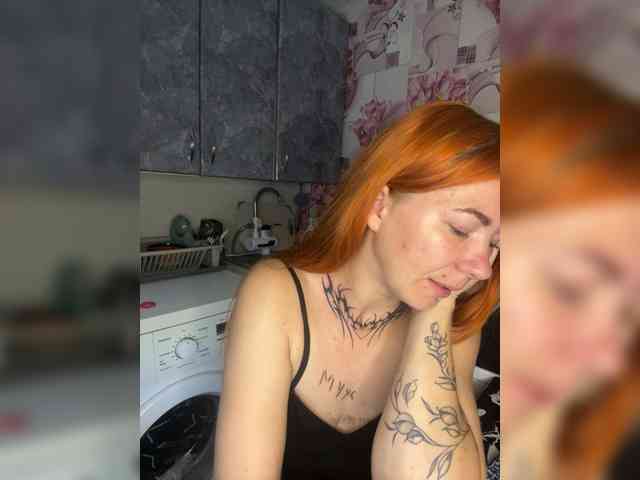 Chanterelle-Fox webcam