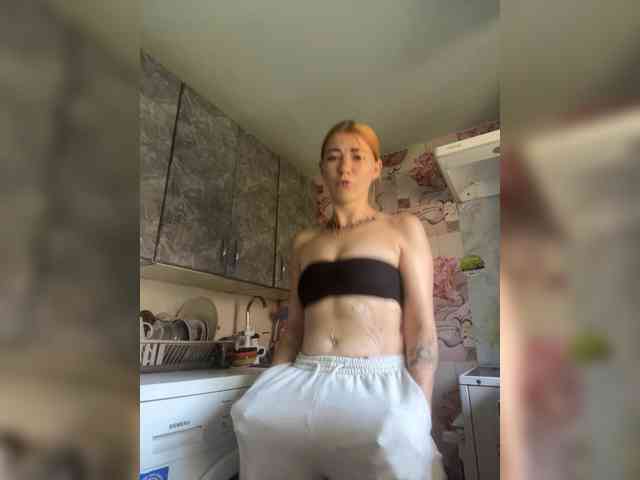 Chanterelle-Fox webcam