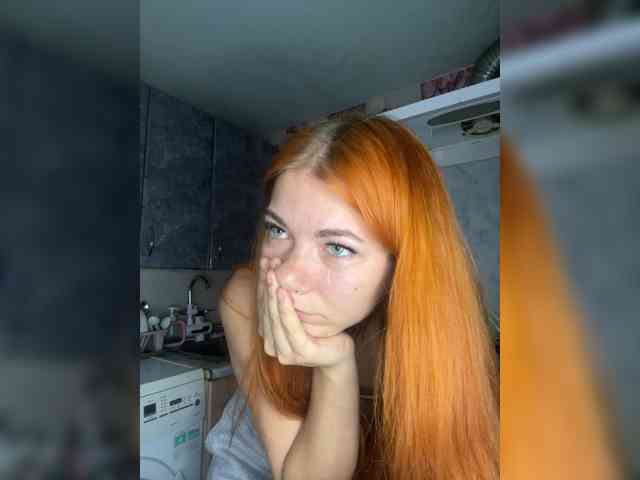 Chanterelle-Fox webcam