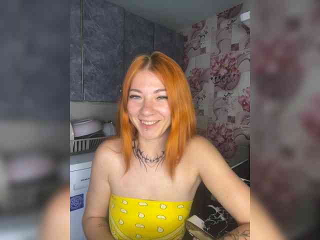 Chanterelle-Fox webcam