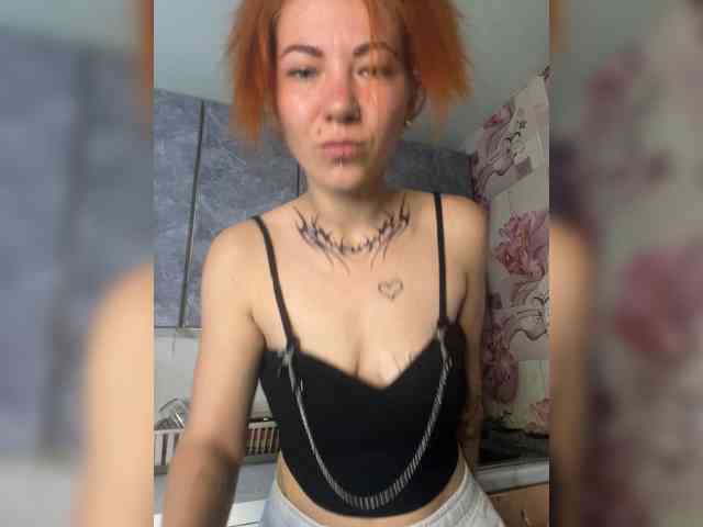 Chanterelle-Fox webcam