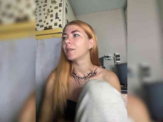 Chanterelle-Fox webcam