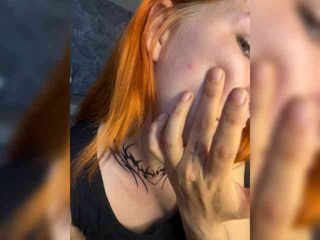 Chanterelle-Fox webcam