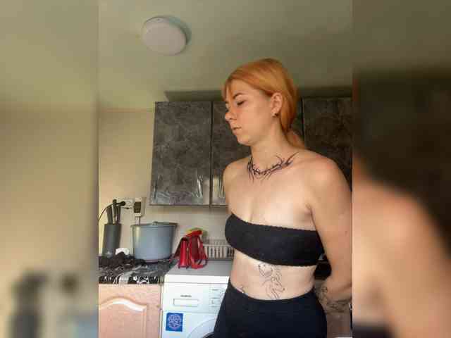 Chanterelle-Fox webcam