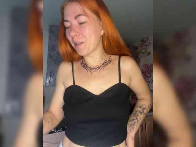 Chanterelle-Fox webcam