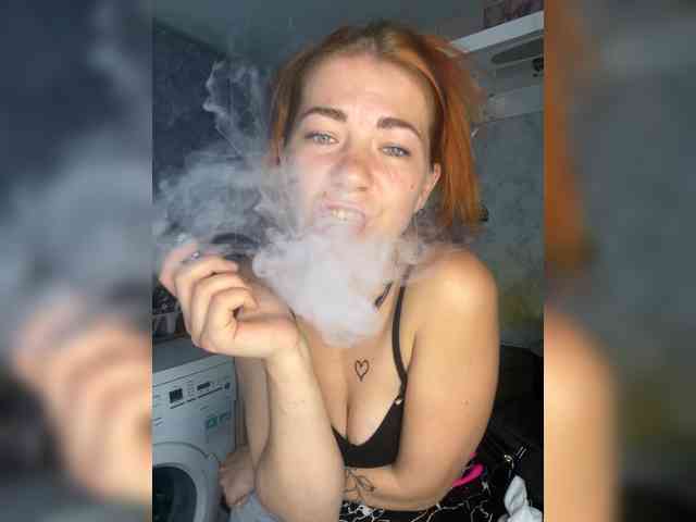 Chanterelle-Fox webcam