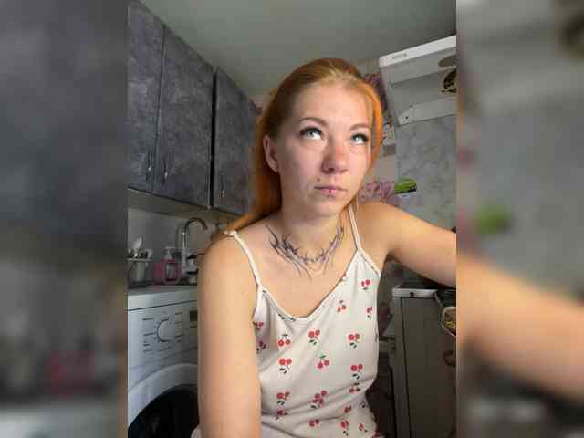 Chanterelle-Fox webcam