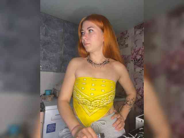 Chanterelle-Fox webcam