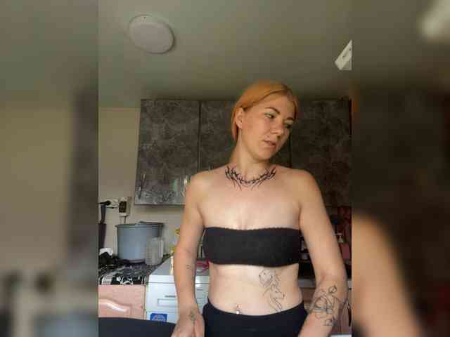 Chanterelle-Fox webcam