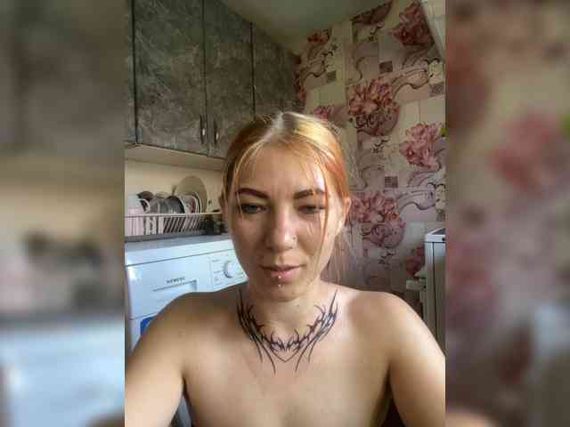 Chanterelle-Fox webcam