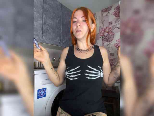 Chanterelle-Fox webcam