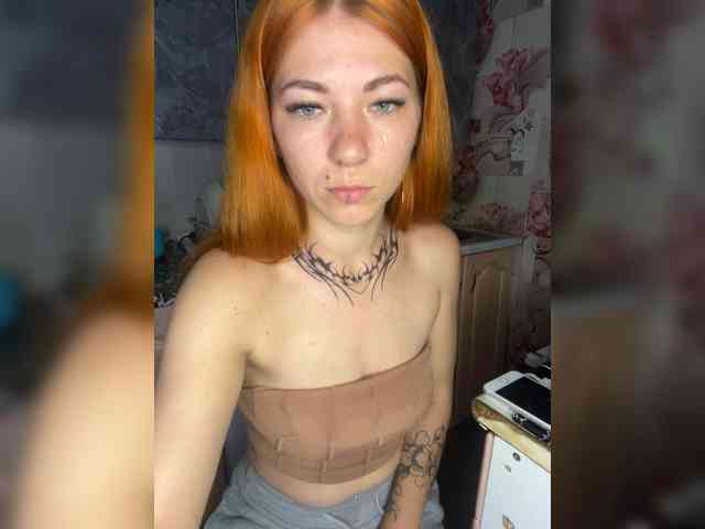 Chanterelle-Fox webcam