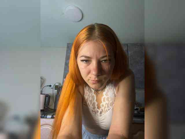 Chanterelle-Fox webcam