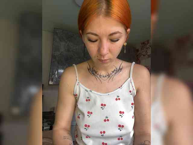 Chanterelle-Fox webcam