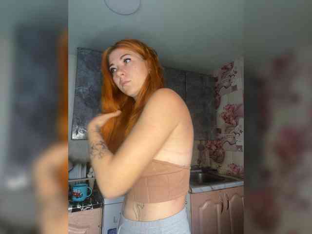 Chanterelle-Fox webcam