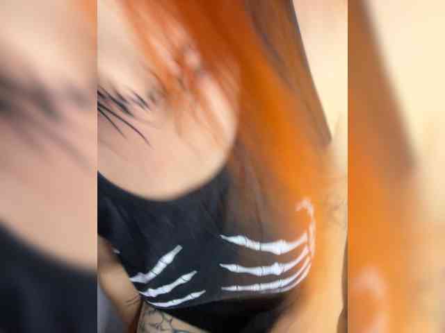 Chanterelle-Fox webcam