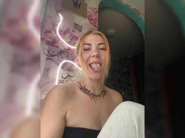 Chanterelle-Fox webcam