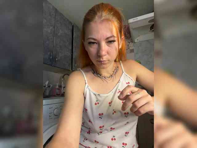 Chanterelle-Fox webcam