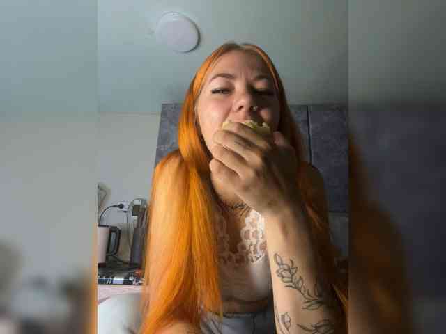 Chanterelle-Fox webcam