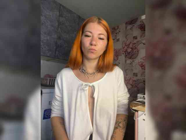 Chanterelle-Fox webcam