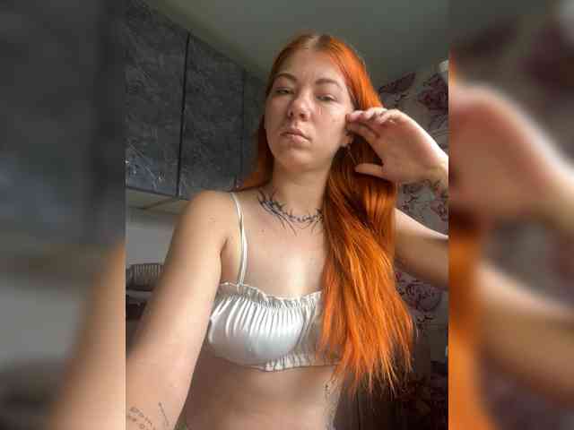 Chanterelle-Fox webcam