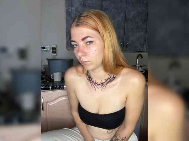 Chanterelle-Fox webcam