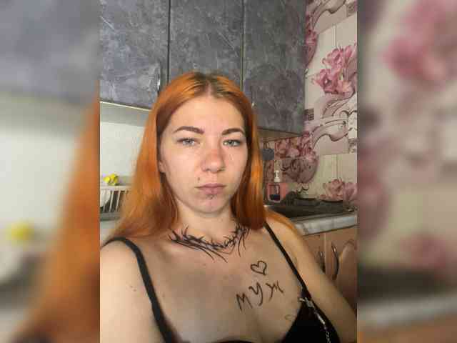 Chanterelle-Fox webcam