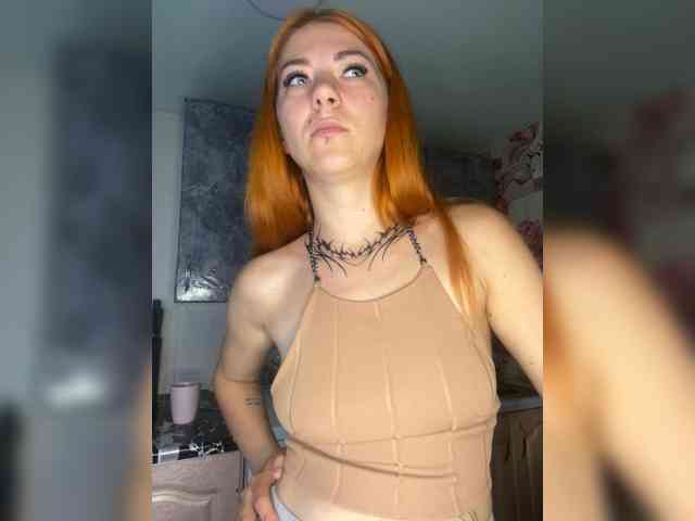 Chanterelle-Fox webcam