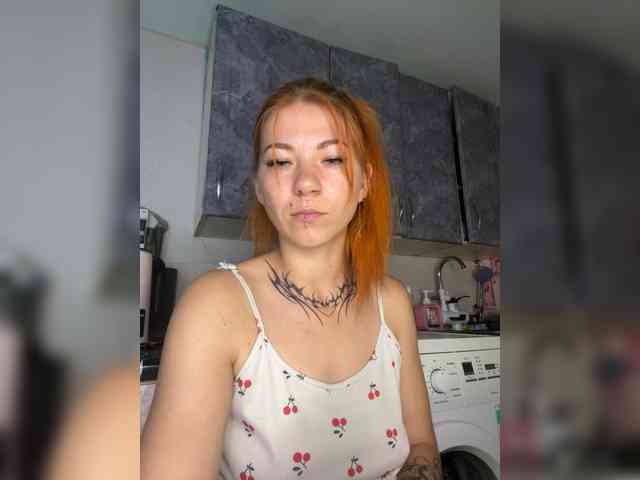 Chanterelle-Fox webcam