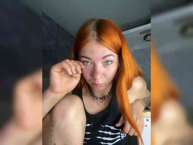 Chanterelle-Fox webcam